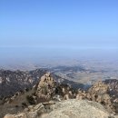 기를품은 이미지