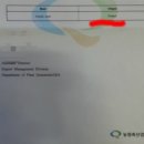 우성육묘