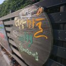 프랑스 자수 | 순천 혼자여행 뚜벅이가 추천하는 숙소 그꽃길 게스트하우스
