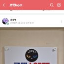 반려동물 애견 미용 이미지