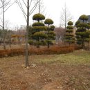 안산식물원 이미지