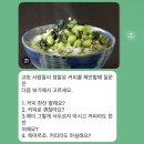 EG투어버스 G코스 | 오사카-교토 2박3일 부모님 여행 후기｜버스투어·온천 코스 + 일정표 공유