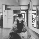 두꺼비체육관(권투) 이미지