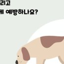 구름동물병원 이미지