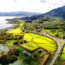 예당호관광지 이미지