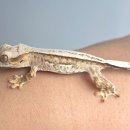 원주브리딩 이미지