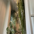 민들레홀씨 | [천안 비렌티] 내 마음을 홀려버린 민들레홀씨 가득한 매그넘홀 후기