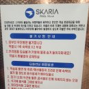 스카리아 | 강릉 풀빌라 가성비 좋은 뷰맛집 스카리아 만족 후기