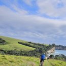 아흔네번째 2025년 4월 13일 : Long Bay Coastal Track 이미지