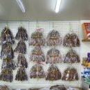 해안로건어물상가시장 | 주문진건어물시장 맛집 돌고래건어물 방문후기｜건어물 뭐 살지 고민 끝