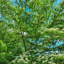 가원습지생태자연공원 | 일상을 여행처럼//신선놀음/가원습지 생태자연 공원