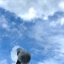 고래문화가 있는날 이미지