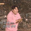 [불판]돌아온 닌자 🔪 🔪 이미지
