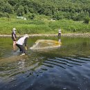 오늘은 별 난 날 (석문동천 천렵) 이미지