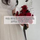 제주의꿈 | 제주 웨딩샵 꿈인제주프로젝트 드레스 및 동행 후기(+만끽스냅, 핱트부케)