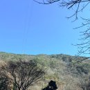 A&J오토캠핑장 | [🏕️ 캠핑/원주] 그럼에도 불구하고 A&amp;J 오토캠핑장 with 깁스