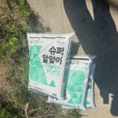 뿌려항공방제