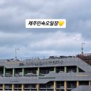 지금먹고싶다 | 제주민속오일장, 끝자리 2일 7일마다 열리는 제주오일장 먹거리 볼거리 많아요