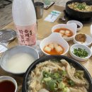 [25.09.06~08] 제주 커플 여행 / 산지해장국 /오설록 / 삐꼴라쿠치나 / 제주 헬리녹스 / 제주 귤메달...