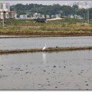경기둘레길 시흥54코스 이미지