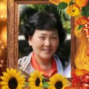 개인(강정숙) 이미지