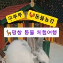청성농장