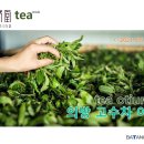 의방 Daum카페
