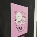 댕로하 애견유치원&애견미용 이미지