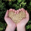 금호농자재 이미지