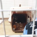 시월에농장 이미지