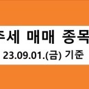 에스씨에이티