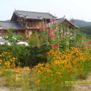 늘푸른 민박 이미지