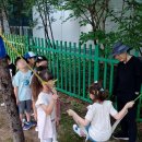 와부초등학교 이미지