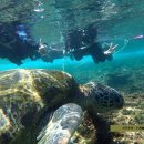 더 엘 관광호텔 이미지