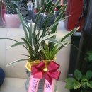 수지지구대 이미지