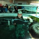 청룡농장 이미지