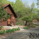 느티골길 이미지