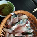 어시장진주점