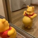 하이목할머니경로당 | 전생같은 임신기록^_^~