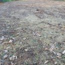 터골농장 이미지