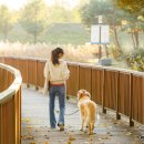 오수 펫 추모공원 이미지