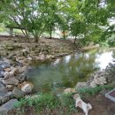 예림이네민박 이미지