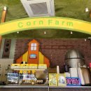 중앙농장 | 강릉일주일살기) 강릉중앙시장 월화거리 옥시기농장 옥시기라떼, 옥시기빵 후기