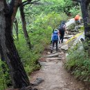 선림농장 이미지