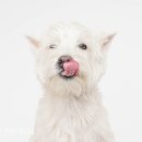 반룡로 | 2026.01.30 (금) 달링스튜디오에서의 촬영후기 ! 📸 유치원생 스튜디오 촬영했어요