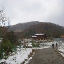 천태봉 Daum카페