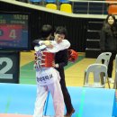 경희대파란태권도체육관 이미지