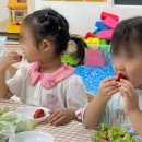 미래농장 | 미래를 키우는 도시 농장! 마포구청 스마트팜 교육 프로그램 후기