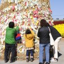 국화황토공원 이미지