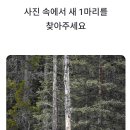 눈썰미 - 창원시 마산합포구 | 눈썰미